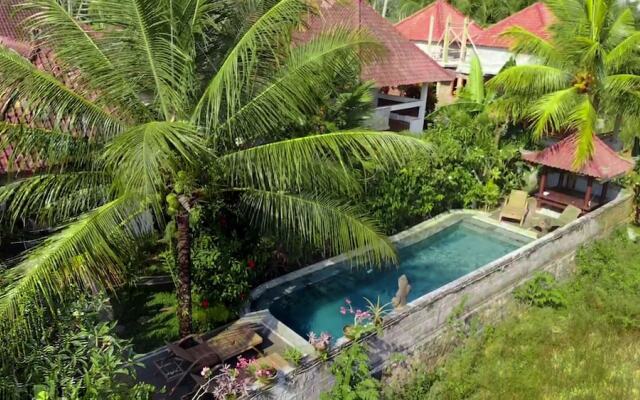 Villa Di Sawah Pejeng