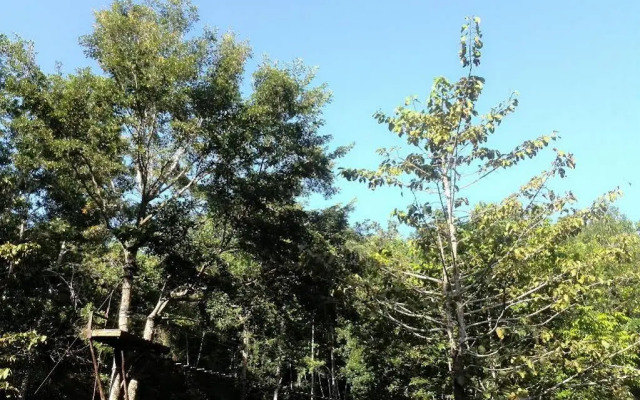 Camp Alfredo Adventure Resort