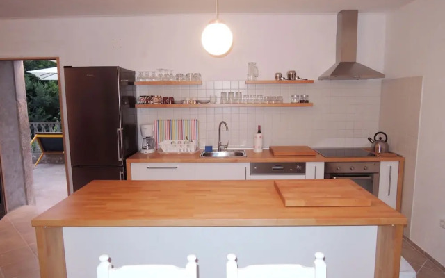 Apartment Pink Mimosa