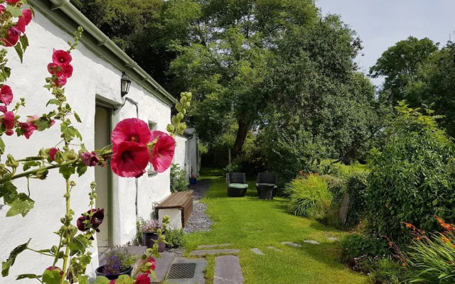 Tyn Llan