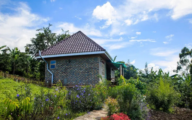Apuuli Safaris & Cottages