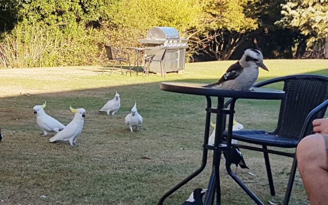 Eildon Parkview Motor Inn