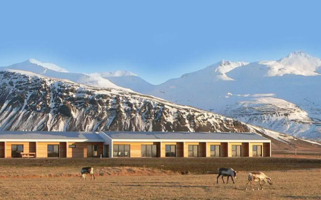 Seljavellir Guesthouse