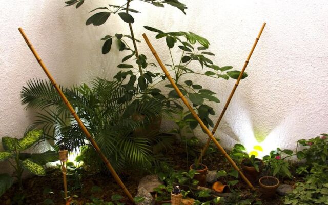 Zamia Hostel