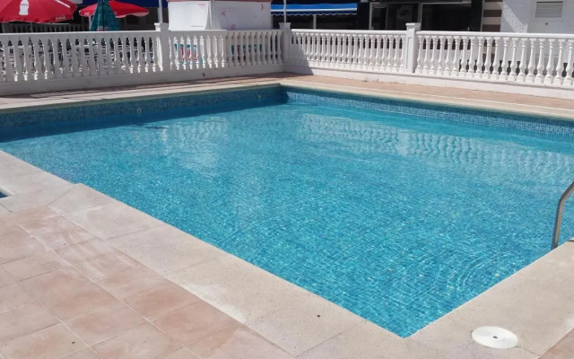 Palmeral de Torrevieja