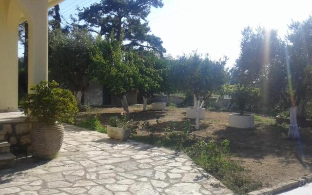 Lemon Garden