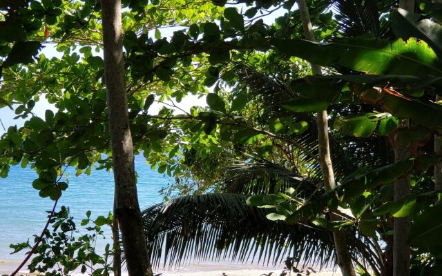 Sea Shell Palms