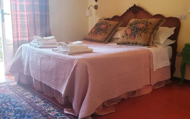 Edo B&B-Olivo