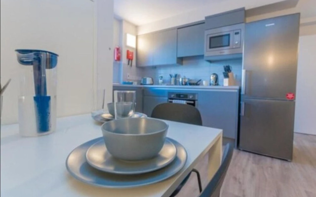 Swuite Dublin (Student Accommodation - ApartHotel)