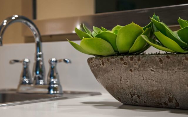 Best Western Plus South Coast Inn