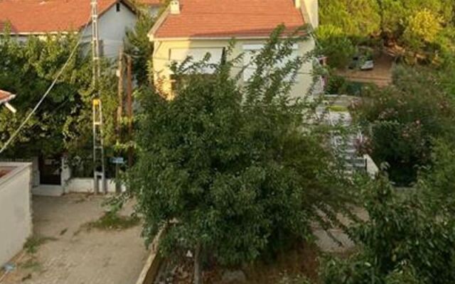 Avsa Papatya Apart