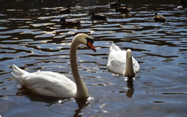 Tewitfield Marina