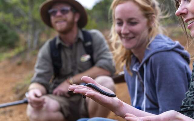 Stargazer Camp - Bellevue Forest Reserve