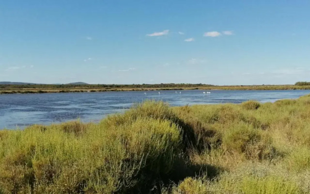 Studio Plage Anthemis
