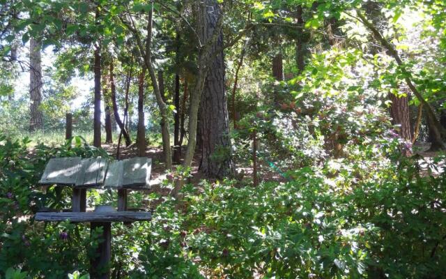 Ponderosa Ridge A B & B