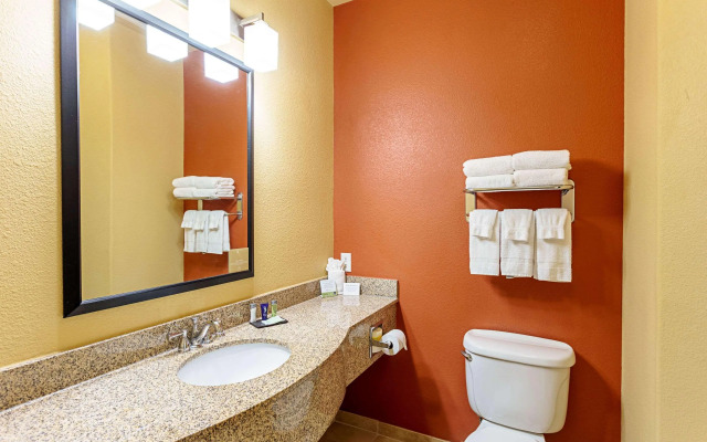 Sleep Inn & Suites Tyler South