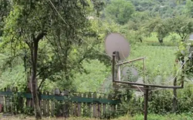 Daviti