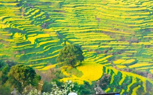 Shanheyue·scenery view meisu