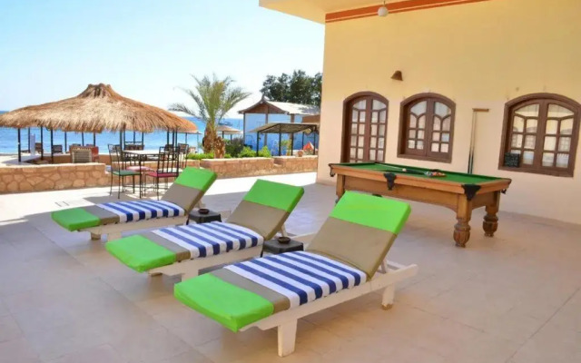 Dolphin Hotel Safaga