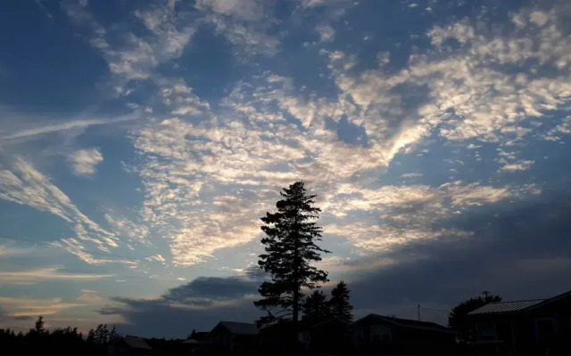 Rustico Acres Cottages