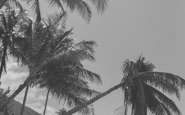 Club Tropical Resort Port Douglas