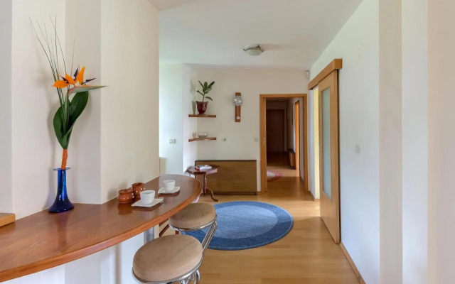 Apartment Franko
