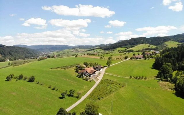 Pleasant Apartment in Zell am Harmersbach