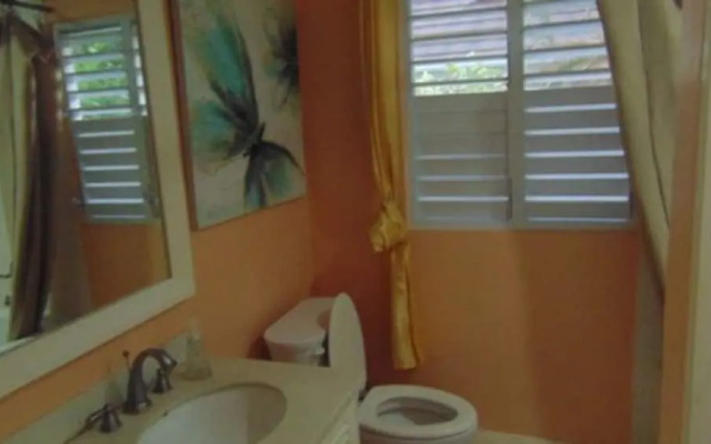 Ocho Rios Villa at the Palms V