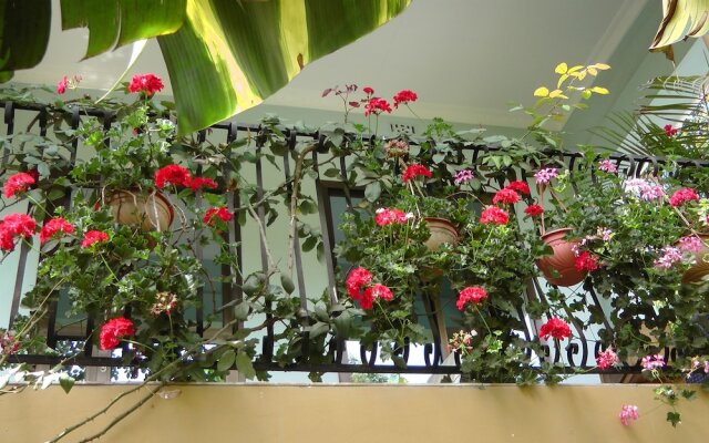 Banana House - Hostel