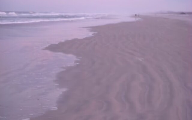 Oceans 116 - 3 Br Condo