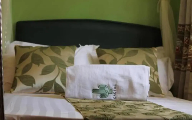 Cactus Hill Side Hotel