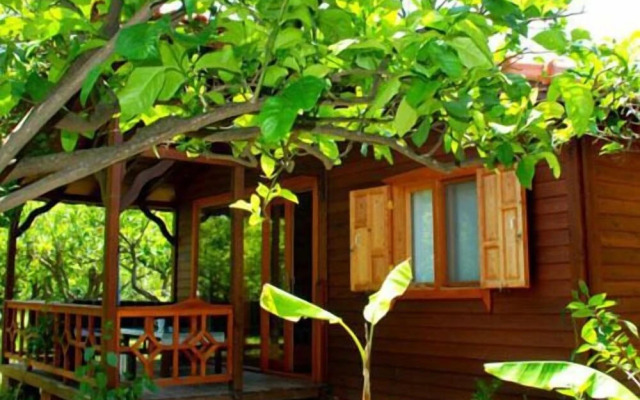 Baraka House