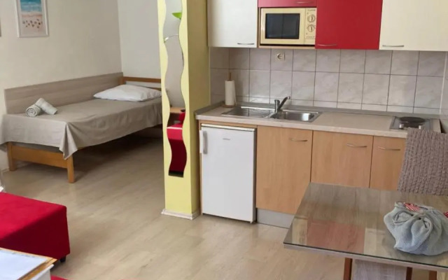 Apartment " Palmin dvor"-Jercic