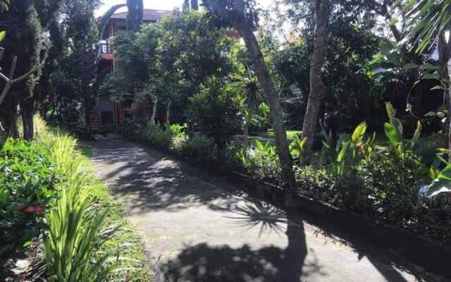 Batur Sunrise Guest House