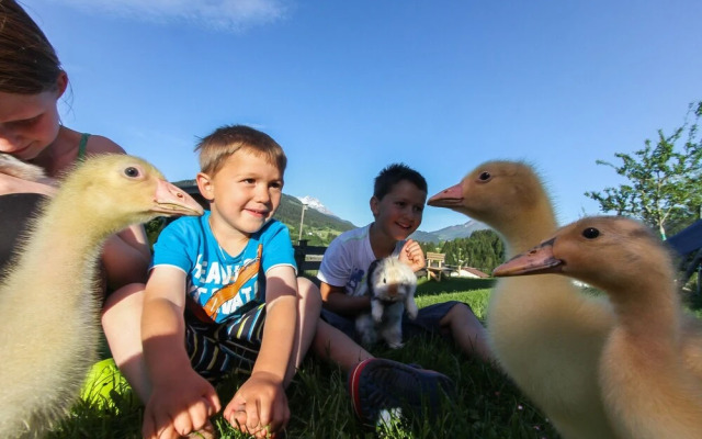 Biobauernhof Mittermoos