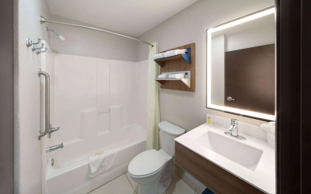 Microtel Inn & Suites by Wyndham Buda Austin South
