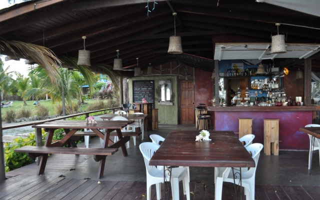 Tropical Gecko Studio