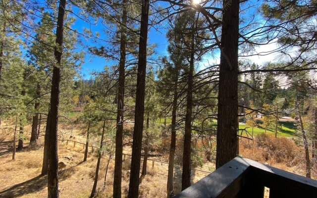 Timbers 15 Private Hot Tub, 2 Car Garage, Washer Dryer, Large Townhouse by RedAwning