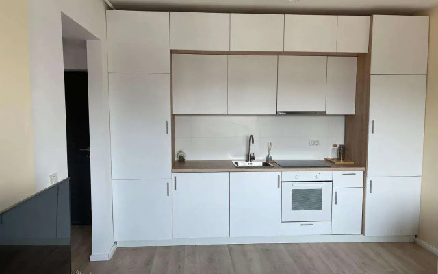 Diamond Luxury Apartment Near Presidential Palace