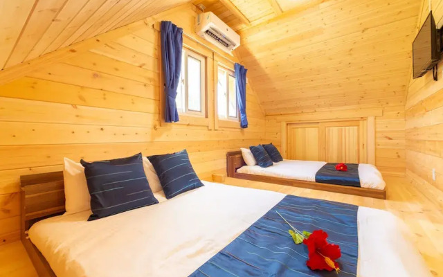 reginaishigakilogterior1