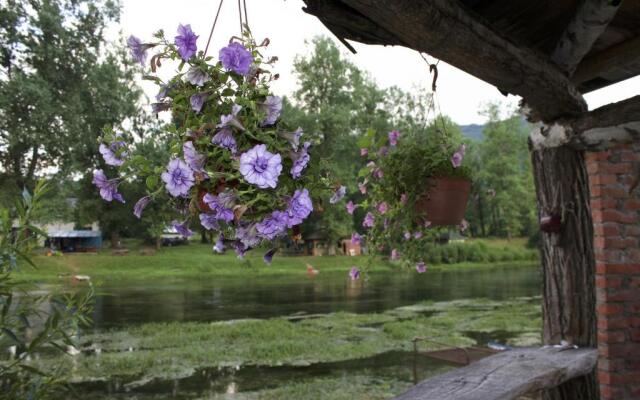 Bed and Breakfast Family Djukic