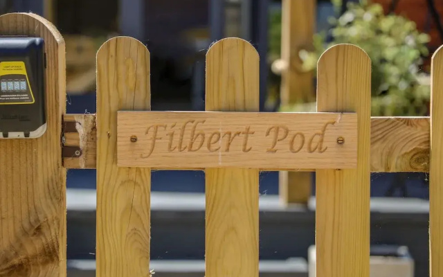 Filbert Pod