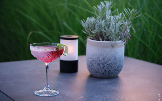 Dorint Parkhotel Frankfurt - Bad Vilbel