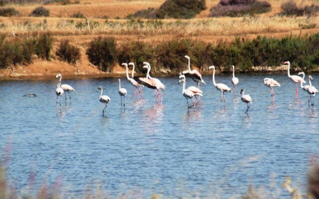 Herdade dos Salgados do Fialho