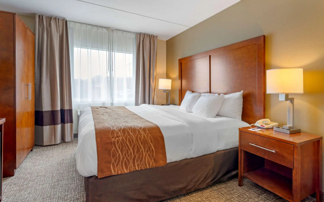 Comfort Inn & Suites Wilkes Barre - Arena