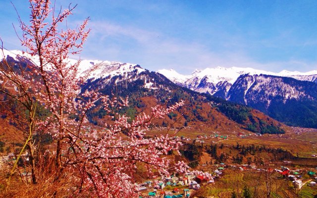 Pause At Manali