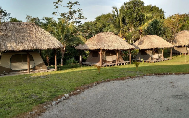 Mayan World Adventures