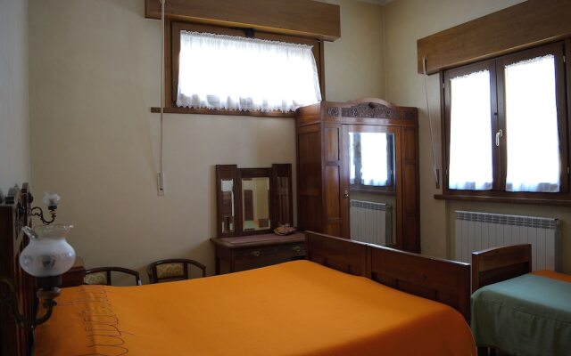 B&B Animali Selvaggi