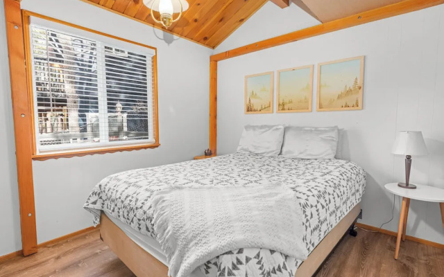 Dark Pine Retreat