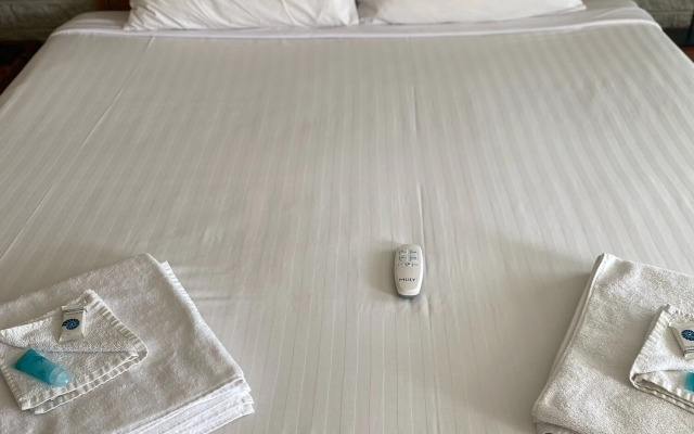 Alexander Motor Inn Moree